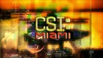 CSI MIAMI