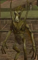 Ikvizi.png