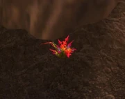 Dragonspine.jpg
