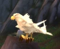 Goretalon Matriarch.jpg