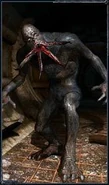 http://stalker.wikia