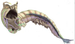 Kwazel Maw.jpg