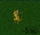 A gold dragon
