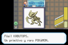 Fósil Kabutops