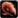 Inv misc fish 62