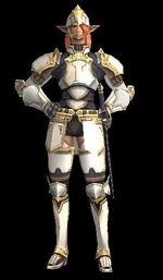 FFXI curilla.jpg