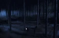 Forest.JPG