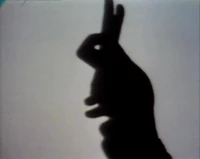 Shadowrabbit.jpg