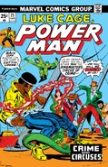 Power Man Vol 1 25