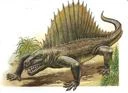 Dimetrodon1.jpg