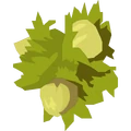 Cirsid Hizilnit