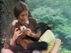 Chimpsky.JPG