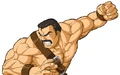 NamCapHaggar