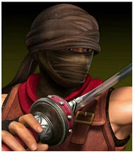 Assassin portrait