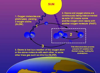 Ozone cycle.jpg