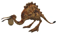 Ziz