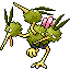 DodrioRFVH variocolor