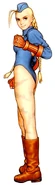 Snk-cammy