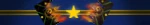 CIS
