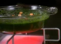Ratamba stew.jpg