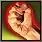 Spell Icon