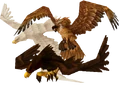 Birds of prey.png