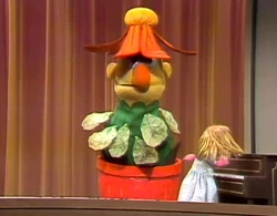 Bert-flower