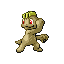 Machop RZ variocolor