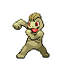 Machop DP variocolor