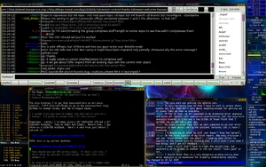 Chi.2008-07-16