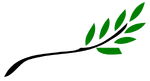 Olive branch
