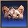 Spell Icon