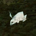 Thudder.jpg