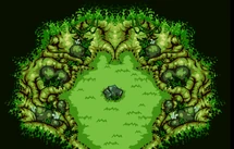 Bosque Transform
