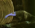 Spade-Nose