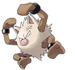 Primeape