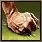 Spell Icon