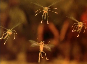 Mosquitos.jpg