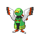Xatu Pt hembra