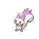 Pachirisu Pt variocolor hembra