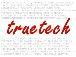 What is truetech's Philosophy?Knowledge is Power! If you are reading this you already know what the snowman said to the other snowman.