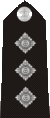 50px-UKPoliceChiefInspector.gif (2 KB) 50px-UKPoliceChiefInspector