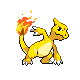 Charmeleon Pt variocolor