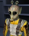 Gluupor.jpg