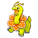 Meganium DP variocolor hembra