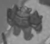 Akinossteelclaw