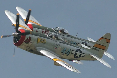 Warbirds in action 