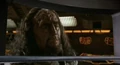 Kang's bridge.jpg