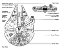 Falcon egvv.jpg