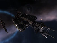 Rorqual1